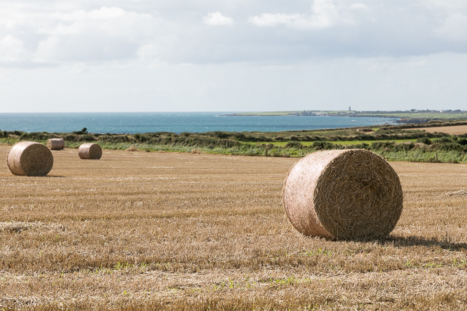 Ireland Sept 2016 (01)